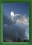 IMG_3589 * 2048 x 3072 * (1.64MB)