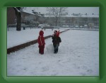 IMG_9489 * 640 x 480 * (49KB)