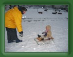 IMG_9493 * 640 x 480 * (50KB)