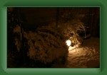 IMG_3719 * 3072 x 2048 * (1.87MB)