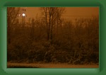 IMG_3731 * 3072 x 2048 * (2.43MB)