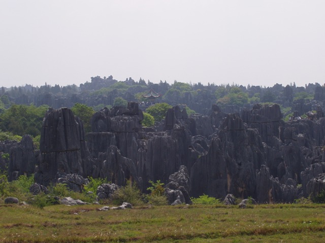 618x457 pixels (68K)