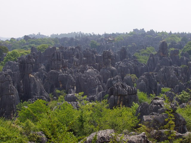 618x457 pixels (78K)