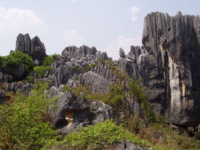 618x457 pixels (75K)
