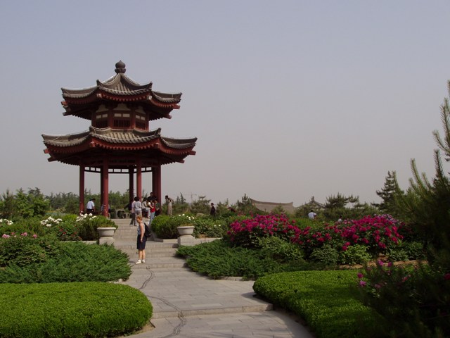 618x457 pixels (63K)