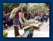 Bouwvaksters in Liijiang