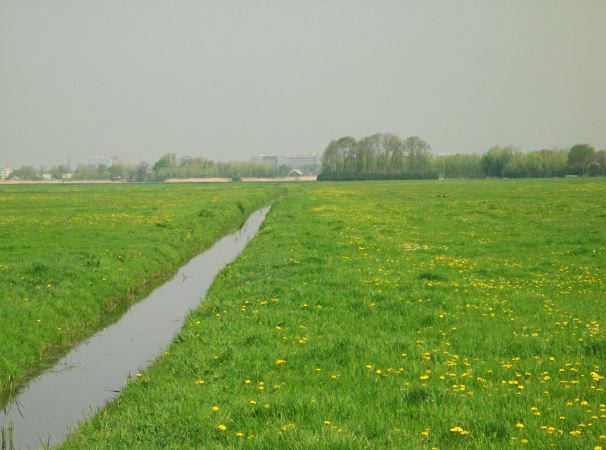 CRW_2630
