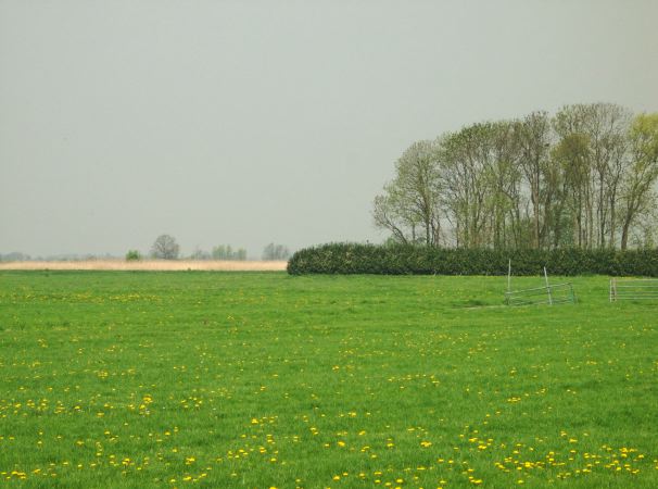 CRW_2632