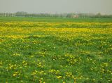 CRW_2624