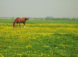 CRW_2626