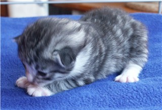 Jukka 16-06-2003