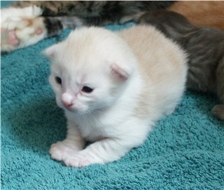 Topi 16-06-2003