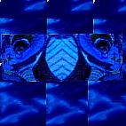 blauwe rib