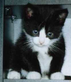 Dit is Mimi