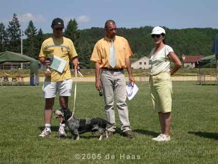 prix jolie - foto P. de Haas