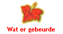 Wat er gebeurde