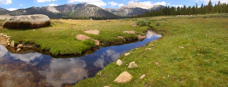 Horse shoe Meadow, Lone Pine, CA