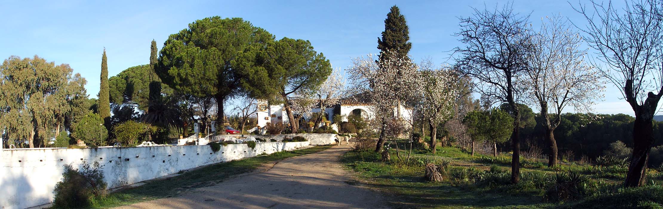 Villa Matilde