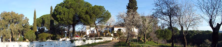 Villa Matilde