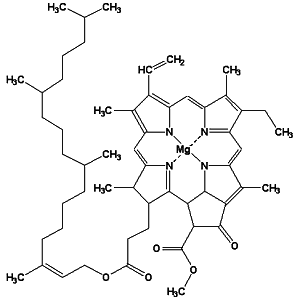  Chlorophyll a 