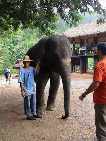 thailand00039.jpg