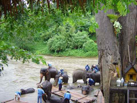 thailand00129.jpg