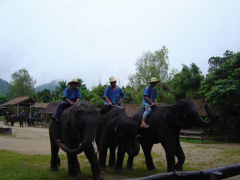 thailand00131.jpg