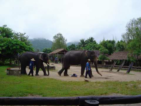 thailand00132.jpg