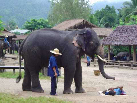 thailand00133.jpg