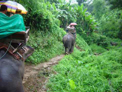 thailand00135.jpg