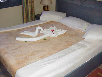 zwaan-bed