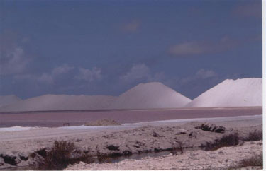 Zoutvlakte Bonaire