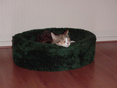 Mickey in de mand